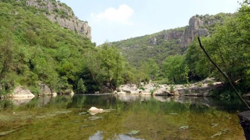 Otoyol için 17 bin ağaç kesilecek