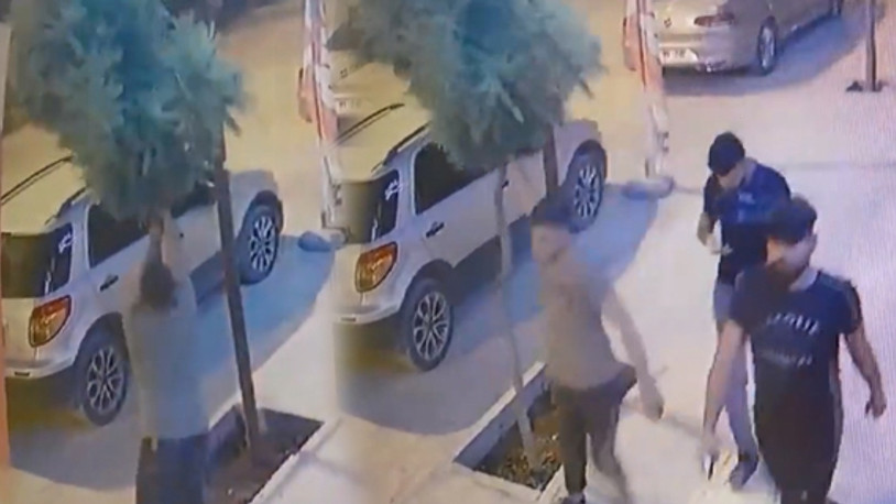 Belediye, yeni dikilen ağacı kıran şahısları ifşaladı