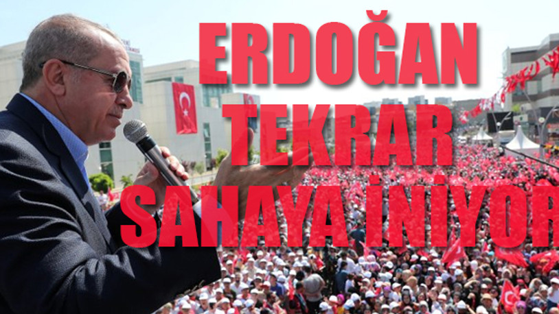 Selvi: Erdoğan yanına Yıldırım'ı da alacak