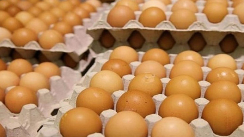 Yumurta fiyatları neden ucuzladı?