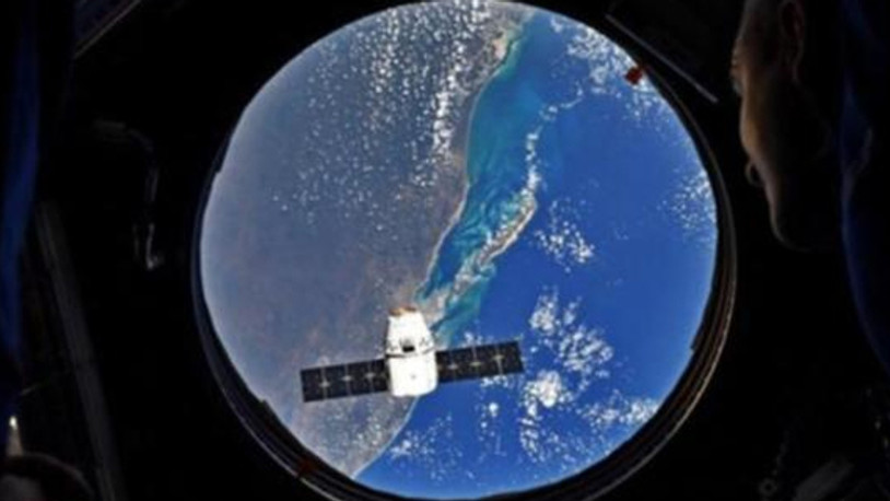 Denek, 5 günde 3 cm uzadı