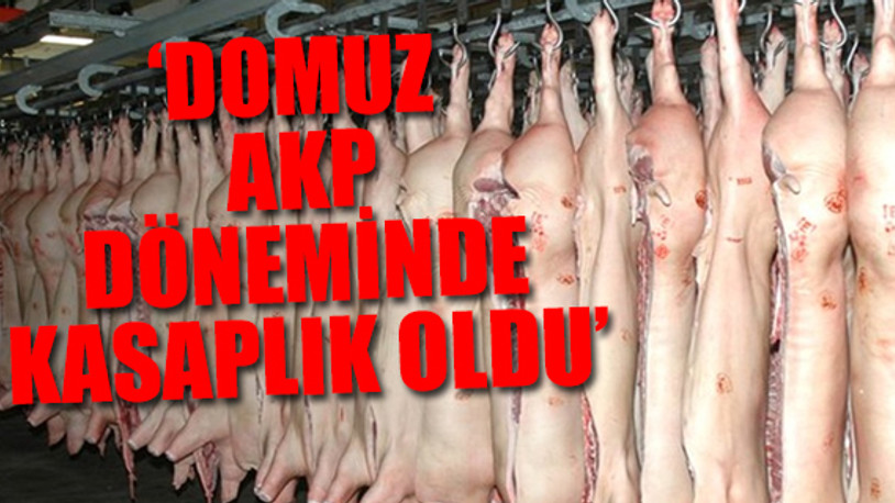 Gürer: Domuz etini ‘dana eti’ diye yedirmeye hiç kimsenin hakkı yok