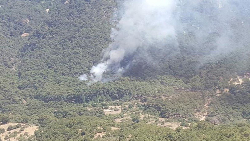 İzmir’de tabiat parkı yakınında orman yangını