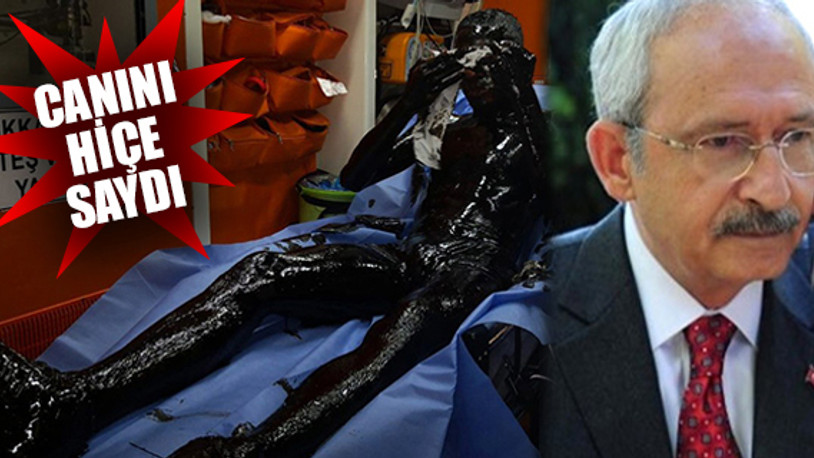 Kılıçdaroğlu, fuel oil çukuruna düşen kediyi kurtaran gençle görüştü