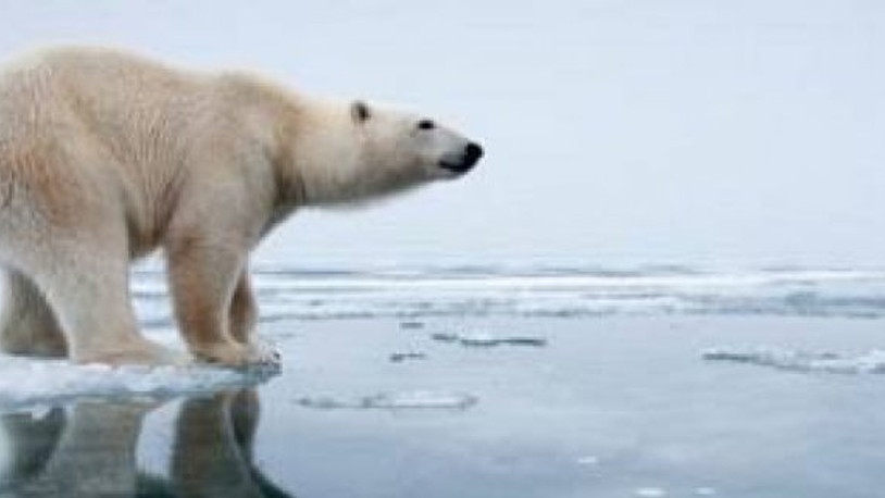 Kuzey Kutbu üzerinde yaratıcı eylem