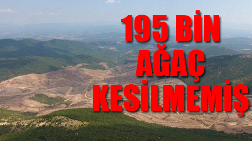 Tarım ve Orman Bakanlığından Kazdağları açıklaması