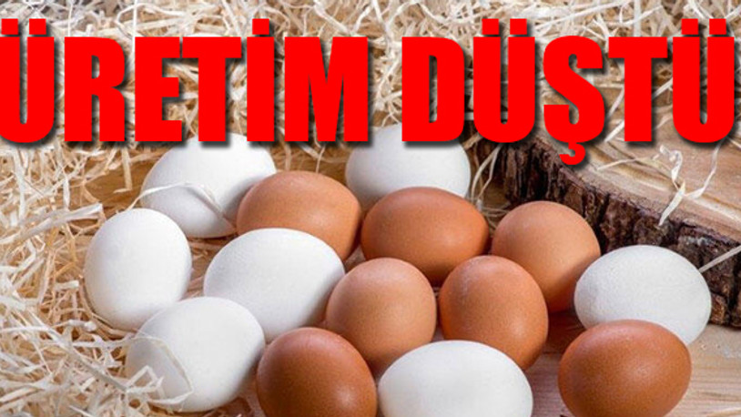 Türkiye Arabistan'dan yumurta ithal ediyor