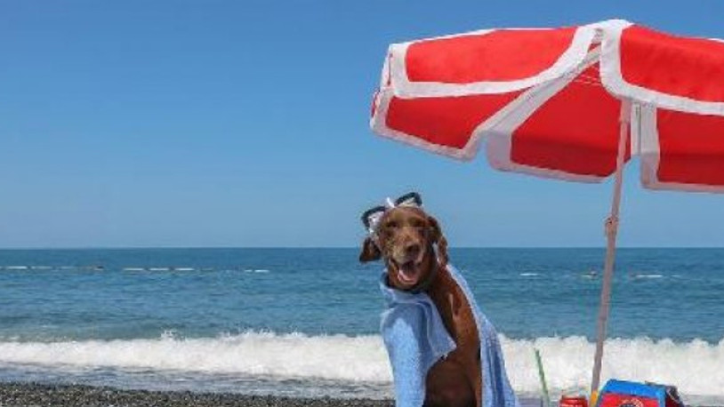 'Vuslat'a emeklilik töreni