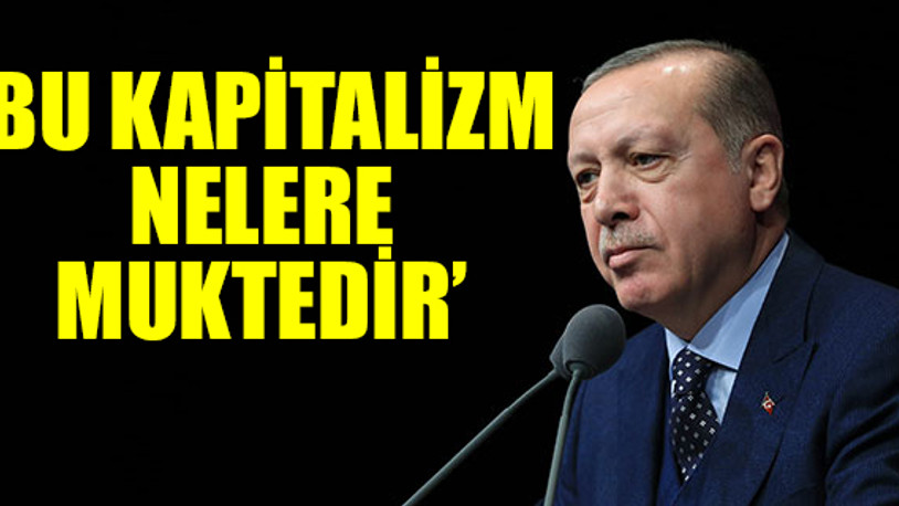 Erdoğan'ın 'doğa' ile ilgili ne demişti? 