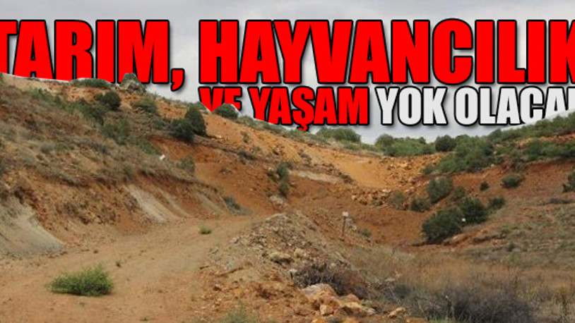 Eskişehir'de 200 bine yakın ağaç kesilecek