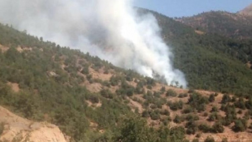 İzmir'de orman yangını