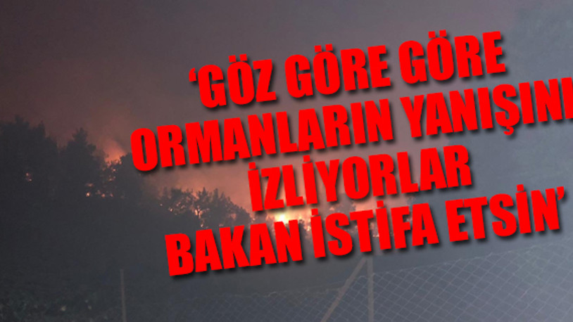 İzmir'deki orman yangınları hakkında vahim iddia... Neden THK uçakları kullanılmıyor?
