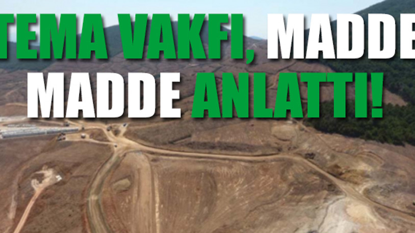 Kaz Dağları'nda kaç ağaç kesildi?