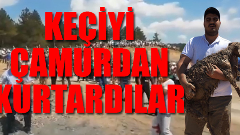 Kaz Dağları'ndaki Alamos şirketinin kazı alanına girince şok oldular