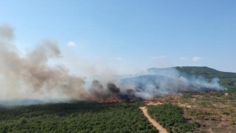 Keşan'daki orman yangını 12 saatte söndürüldü