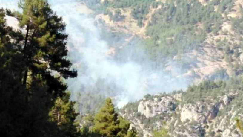 Tarsus'ta orman yangını