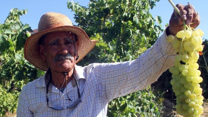 Tuncelili Robinson Crusoe, adada tek başına yaşıyor