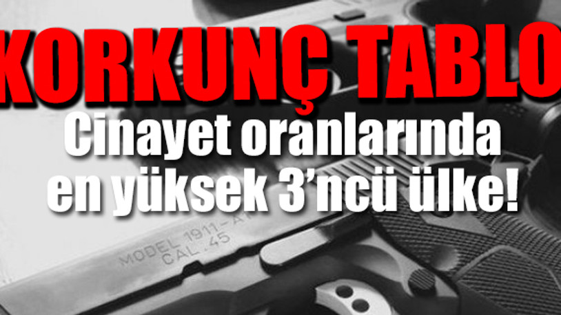 Türkiye’de her 100 kişiden 12’sinde silah var