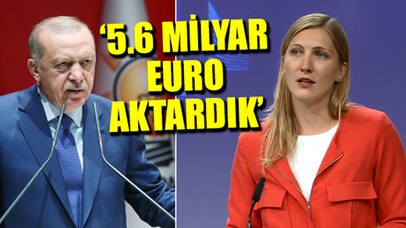 AB'den Erdoğan'a ilk yanıt