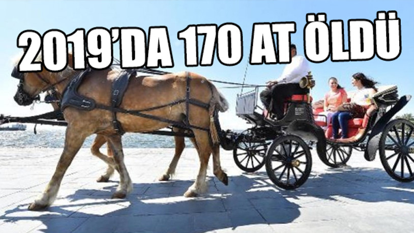 Adalar’da fayton bilançosu