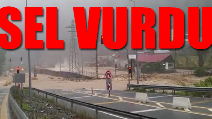 Artvin'de sel ve heyelan sonucu dereler taştı, yollar kapandı