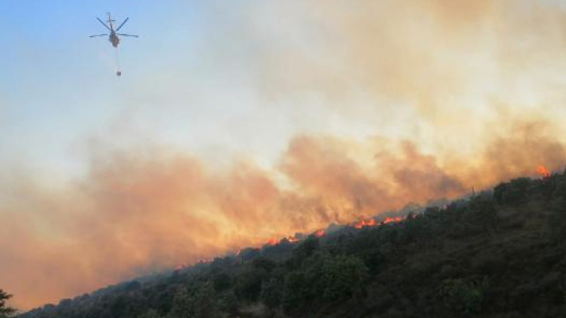 Balıkesir'de orman yangını