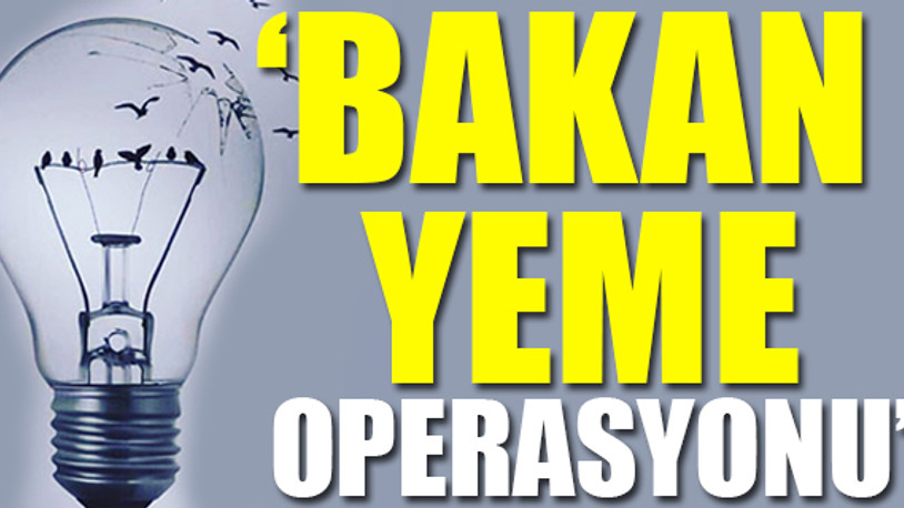 'Pelikancılar ile ikinci ‘paralel devlet yapılanması’ yaşanıyor'