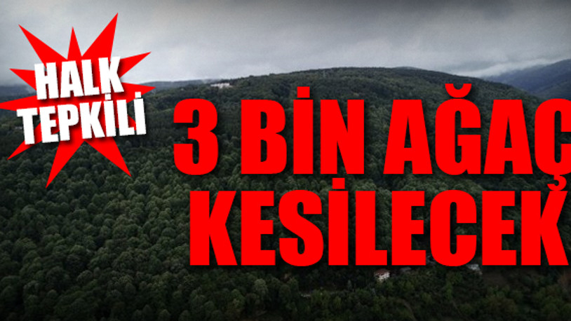 Sapanca’da teleferik isyanı