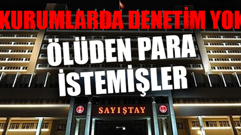 Sayıştay raporları devletin nasıl zarara uğratıldığını ortaya koydu