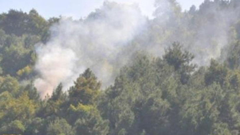 Sinop'ta şüpheli orman yangını