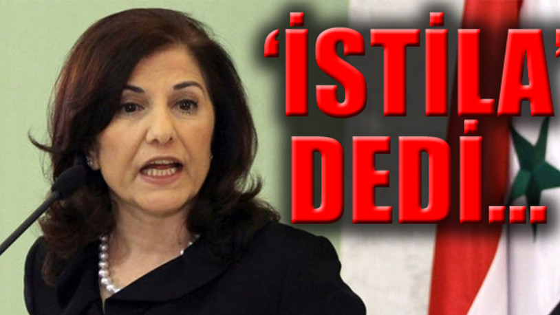 Esad'ın Danışmanı: Kürtlere memnuniyetle yardım edeceğiz