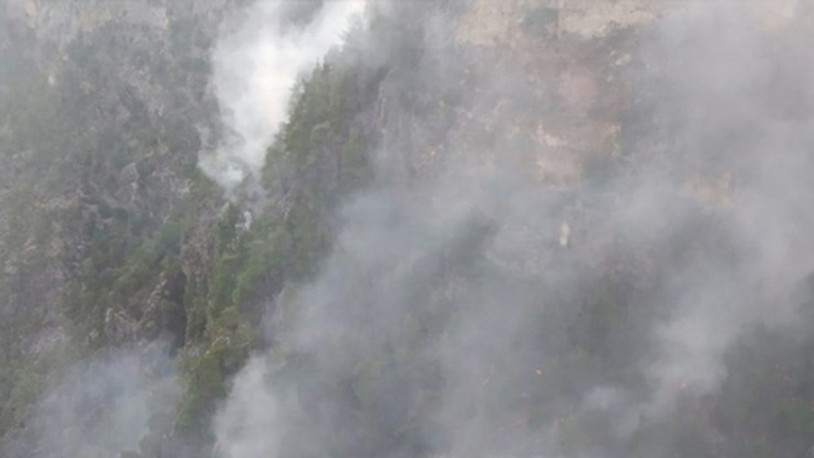Muğla'da orman yangını!