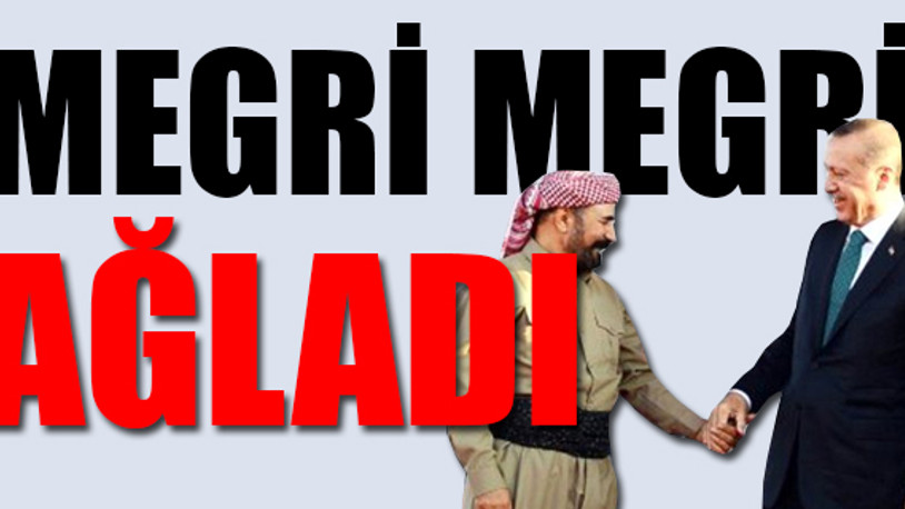 Şivan Perver'den Barış Pınarı Harekatı ağlaması...