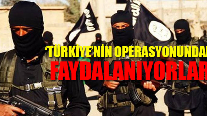 ABD'den IŞİD raporu