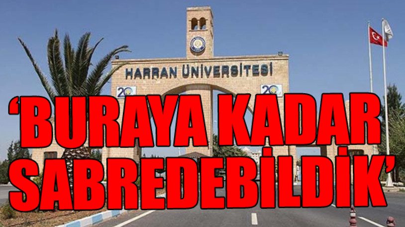 Akademisyenler kazan kaldırdı: Toplu istifa...