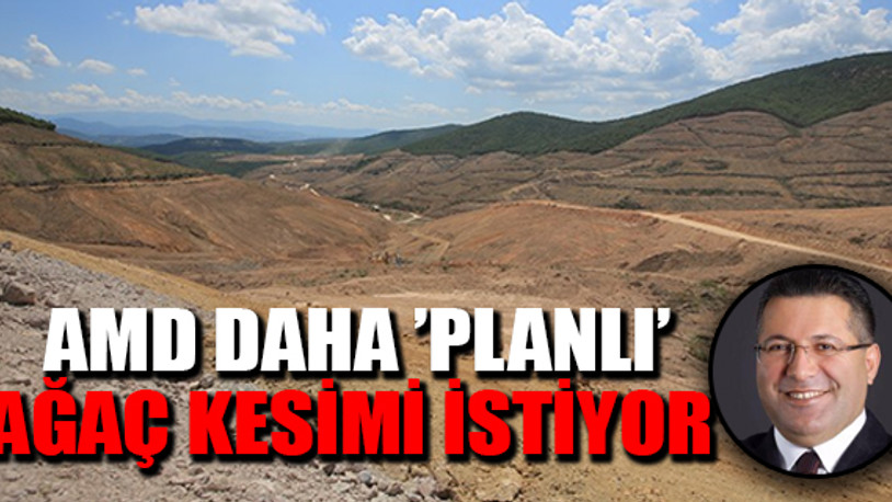 Altın Madencileri Derneği Başkanı'ndan Alamos Gold'a destek