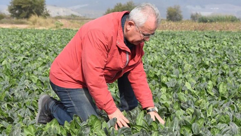 O tarım raporu niçin dikkate alınmadı? Hangi bölgede kaç çeşit yabancı ot var?