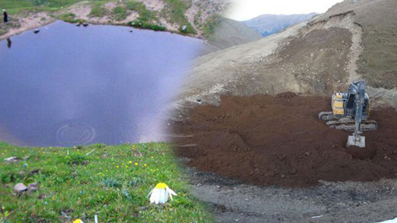 2019 yılı akıllara çevre katliamıyla kazındı!