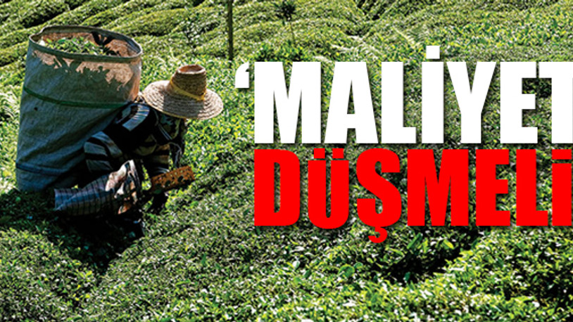 Zararı zamla kapatmaya çalışan ÇayKur’a Sayıştay'dan uyarı