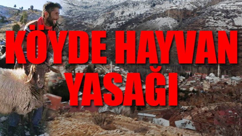 'Köyde hayvancılık yapılmayacaksa nerede yapılacak?'