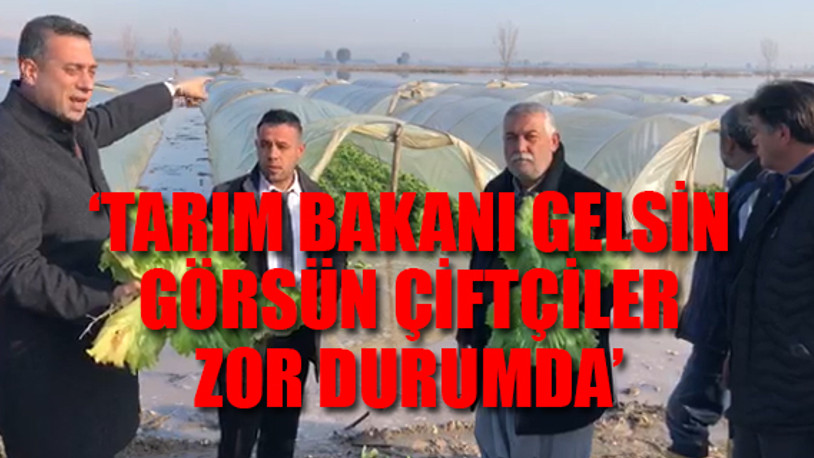 Mersin'de seraları sel vurdu, çiftçi AKP'ye isyan etti