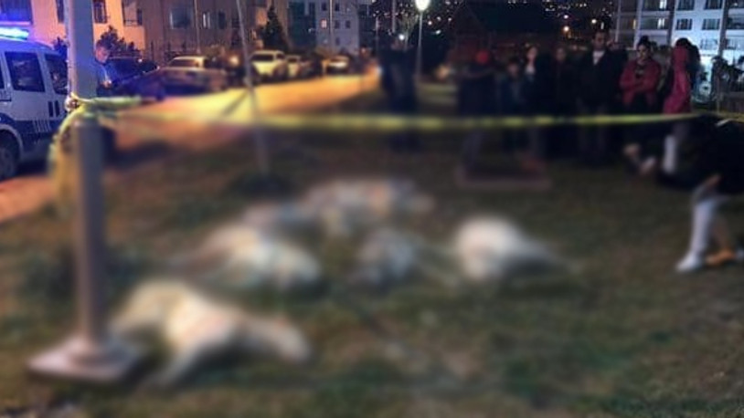 Batıkent'teki 'katliam'dan 10'ar yıl ceza alan zanlılar serbest bırakıldı