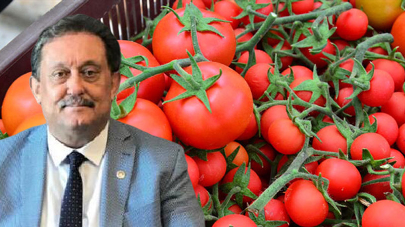CHP'li Özer: Rusya'ya giden domatesler Antalya'ya döndü