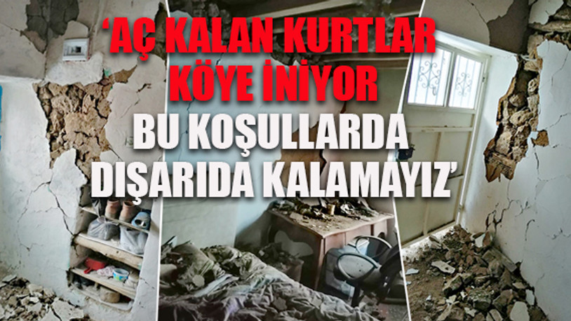 Depremzedeler, fırtınada çadırları uçunca hasarlı evlere geri döndüler