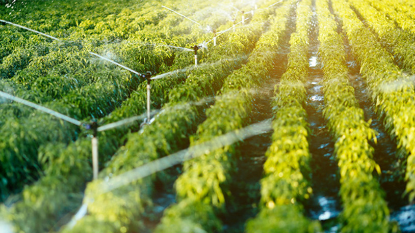 Erzincan’da çiftçilerin sulama suyuna yüzde 90 zam