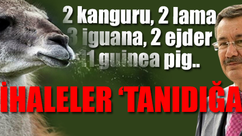 Melih Gökçek halkın parası ile ejder beslemiş