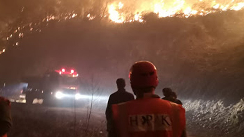 Artvin'de orman yangınında 10 dönüm alan zarar gördü
