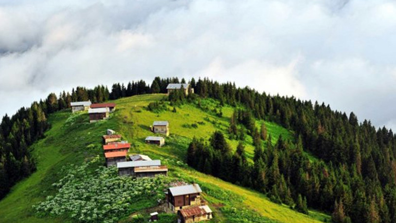 Cumhurbaşkanı kararıyla 11 ilde 126 alan 'yayla' olmaktan çıkarıldı