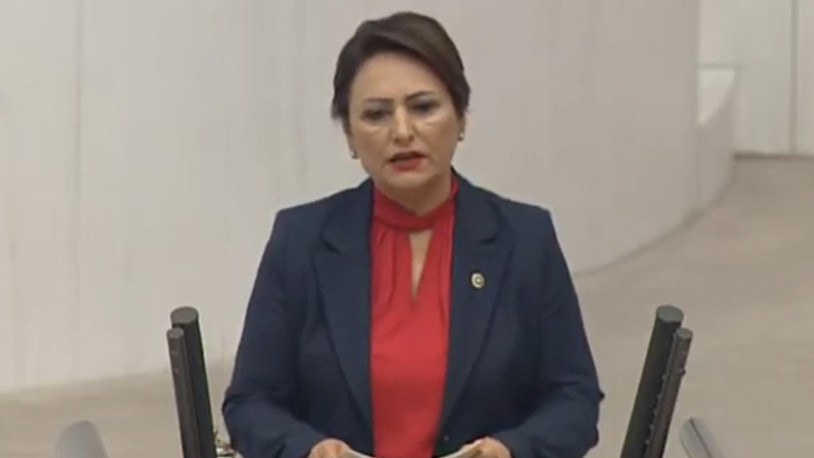 Müzeyyen Şevkin: Meclis, çözüm üretme merkezi olmalı