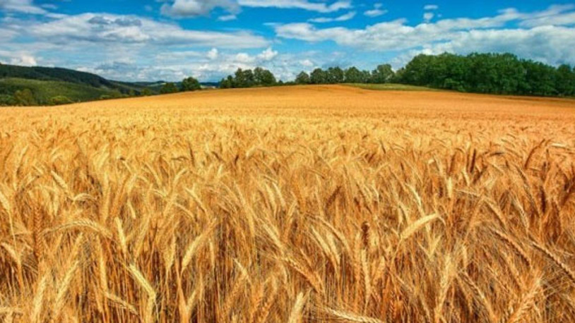 TMO'nun gıda stokları hakkında açıklama